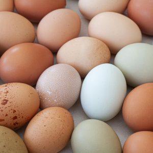 Kepti ar virti: koks kiaušinių ruošimo būdas pats kenksmingiausias