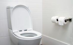 Klozeto valymas yra vienas iš pačių nemaloniausių darbų: kaip jį išlaikyti švarų?