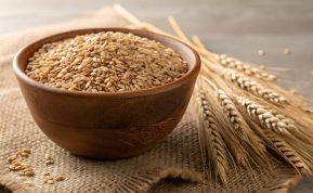 Kodėl į augalų vazonus verta įberti po saują grūdų?