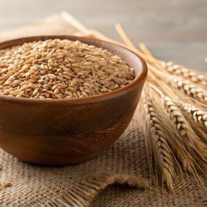 Kodėl į augalų vazonus verta įberti po saują grūdų?