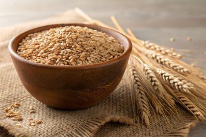 Kodėl į augalų vazonus verta įberti po saują grūdų?