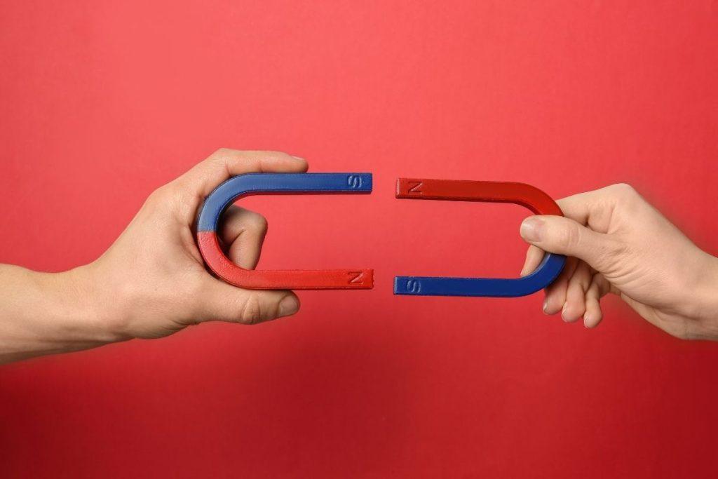 Kodėl magnetai ant šaldytuvo gali būti pavojingi jūsų sveikatai