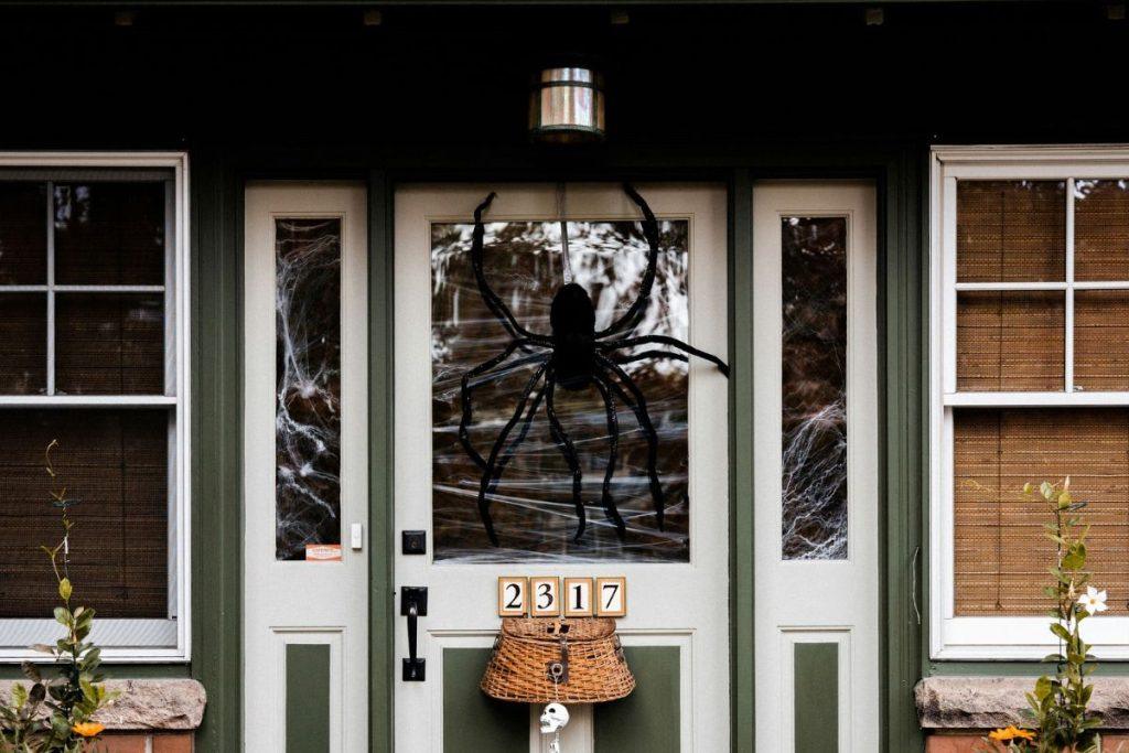 Kodėl namuose būna daug vorų? Sužinokite visą tiesą. Kaip atrikratyti vorų?