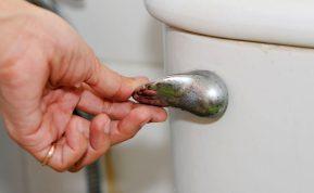 Kodėl prieš nuleidžiant vandenį reikia nuleisti unitazo dangtį?