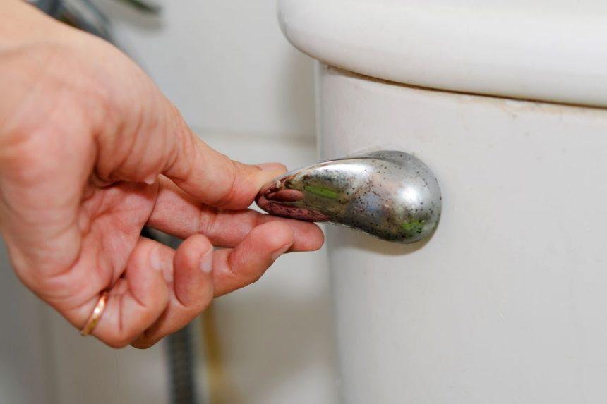 Kodėl prieš nuleidžiant vandenį reikia nuleisti unitazo dangtį?