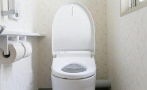 Kodėl svečiuose ir viešuosiuose tualetuose nereikėtų unitazo sėdynės valyti popieriumi?