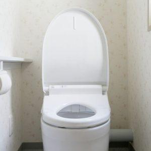 Kodėl svečiuose ir viešuosiuose tualetuose nereikėtų unitazo sėdynės valyti popieriumi?