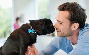 Kodėl vyrą reikia rinktis pagal nosies formą?