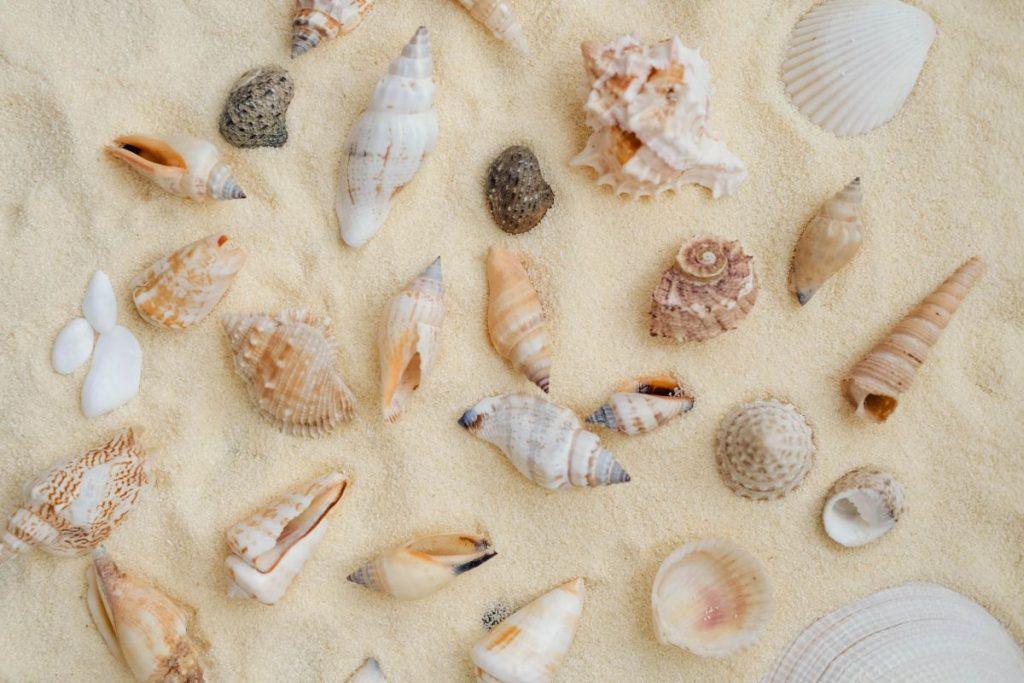 Kokius asmenybės bruožus lemia jūsų gimimo mėnuo? Liepa