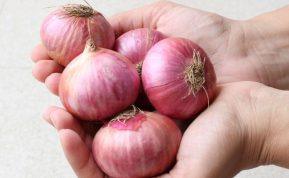 Kokius svogūnus dėti į faršą: tą žino ne visos šeimininkės