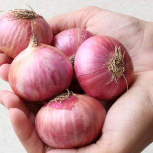 Kokius svogūnus dėti į faršą: tą žino ne visos šeimininkės