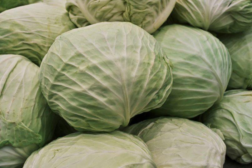 Kopūstas: kodėl ši daržovė gali būti stebuklinga, bet ir pavojinga jūsų sveikatai