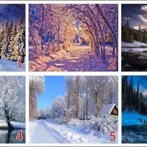 Kuo jus nustebins artėjanti žiema? Pasirinkite peizažą ir sužinokite!