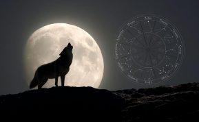 Lapkričio pilnatis 2025 kam žvaigždės atneš ramybę ir sėkmę