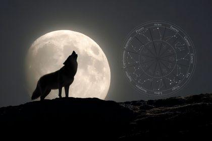 Lapkričio pilnatis 2025 kam žvaigždės atneš ramybę ir sėkmę