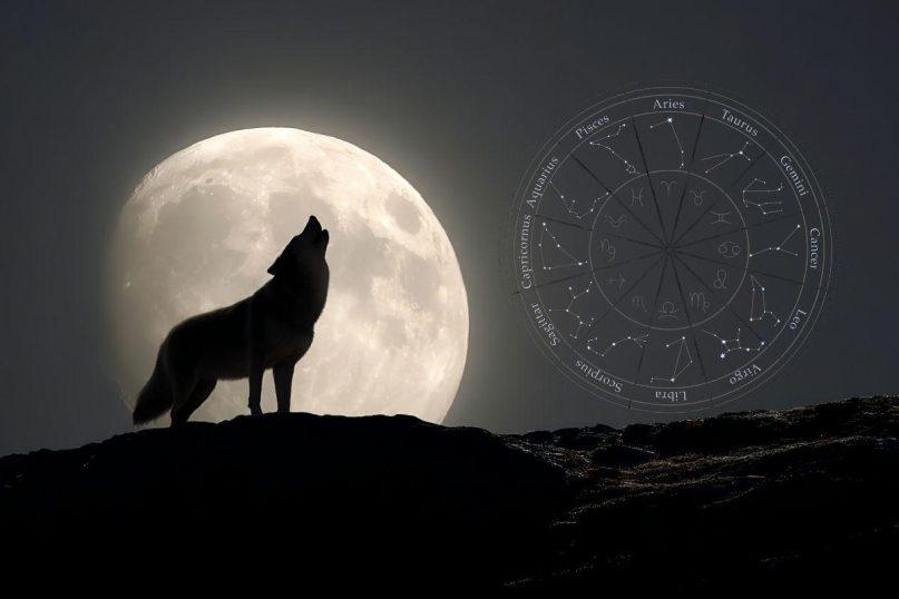 Lapkričio pilnatis 2025 kam žvaigždės atneš ramybę ir sėkmę