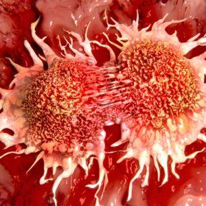 Ląstelės, sukurtos naikinti vėžį: nematomos žudikės mūsų naudai