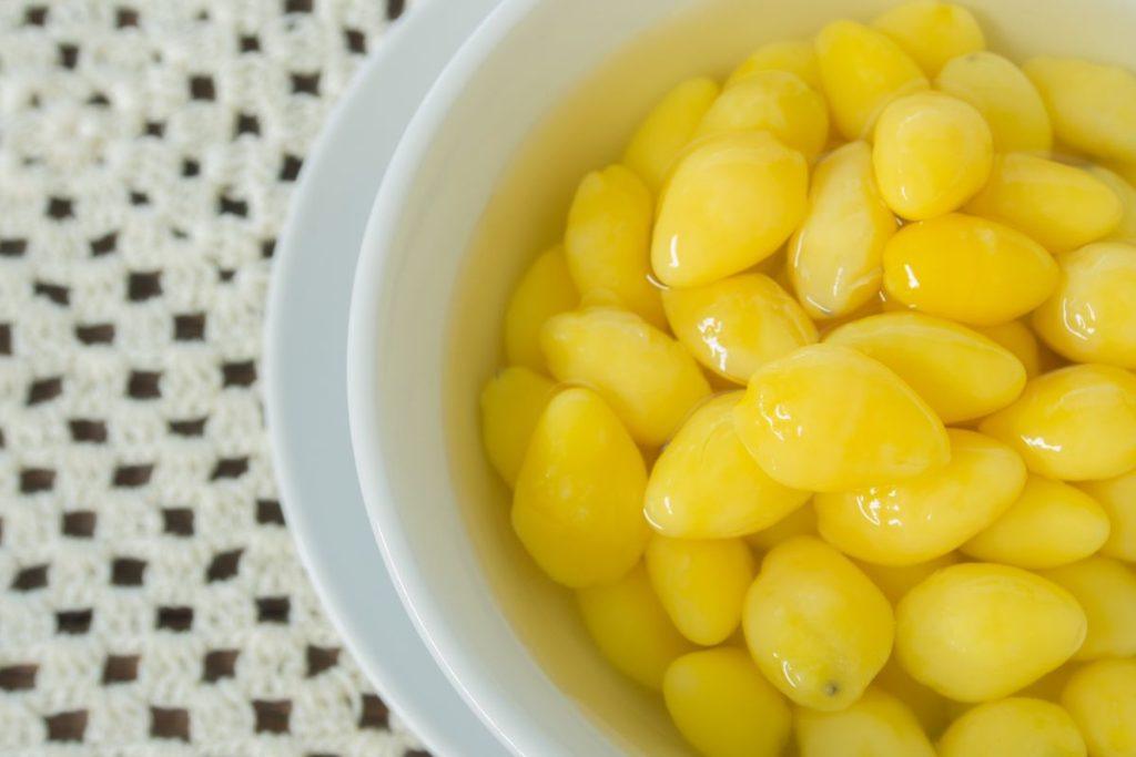 Medis, kuris išgyveno branduolinį Hirošimos sprogimą: tai gyvybės ir ilgaamžiškumo simbolis. Ginkmedžio uogos ir jų kvapas