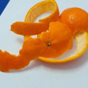 Neišmeskite apelsinų žievelių! Pasigaminkite universalią priemonę namų švarai ir gaivai