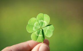 Norite, kad jus aplankytų sėkmė? Šie 10 radinių ją atneš.