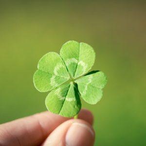 Norite, kad jus aplankytų sėkmė? Šie 10 radinių ją atneš.