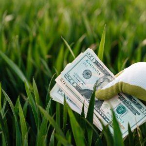 Numerologija: kaip gimimo data jums gali padėti padidinti pajamas?