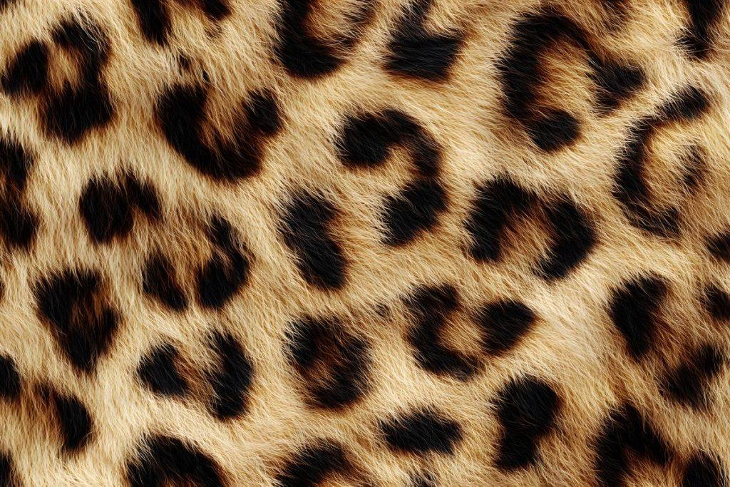 Pasak stilistės, ruošdamos savo spintą žiemai, moterys dažniausiai daro šias klaidas. Dirbtinio kailio alternatyvos