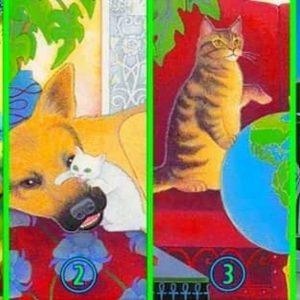 Pasirinkite katę ir sužinokite, ko jums dabar trūksta gyvenime