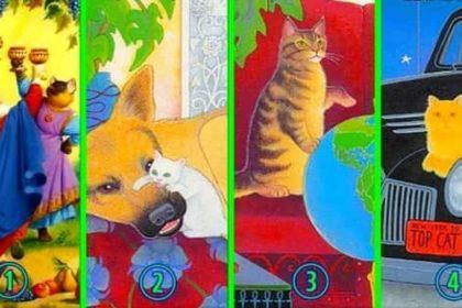 Pasirinkite katę ir sužinokite, ko jums dabar trūksta gyvenime