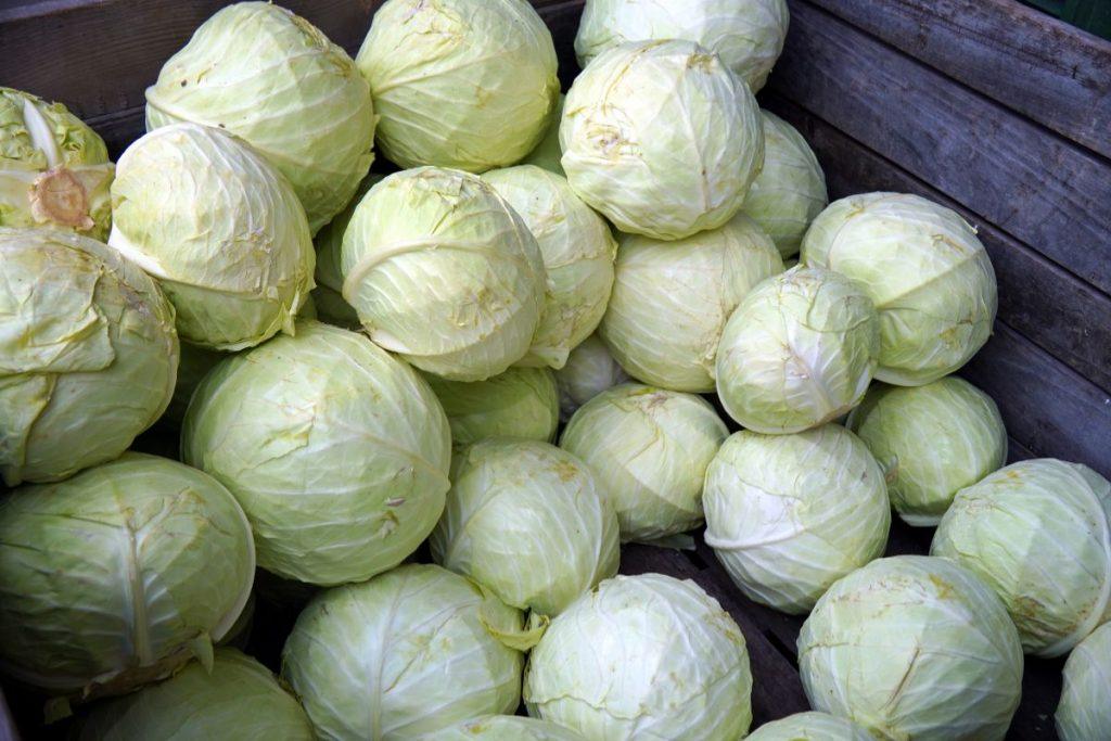 Patarimai, kaip laikyti kopūstus