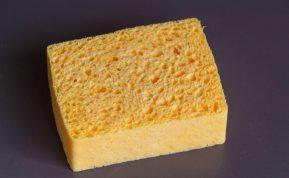 Praktiška priežastis, kodėl kiekviename šaldytuve turėtų būti kempinėlė