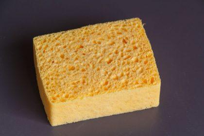 Praktiška priežastis, kodėl kiekviename šaldytuve turėtų būti kempinėlė