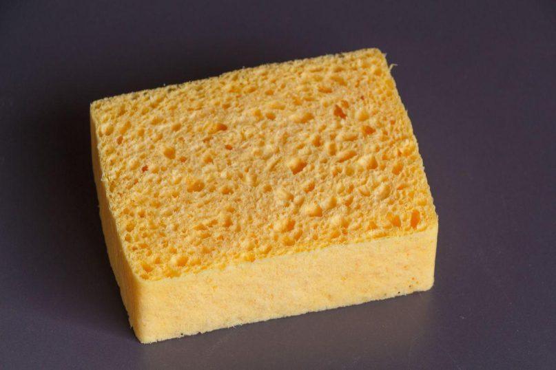 Praktiška priežastis, kodėl kiekviename šaldytuve turėtų būti kempinėlė