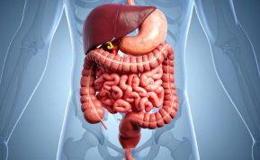 Prebiotikai ar probiotikai: kas geriau žarnyno sveikatai