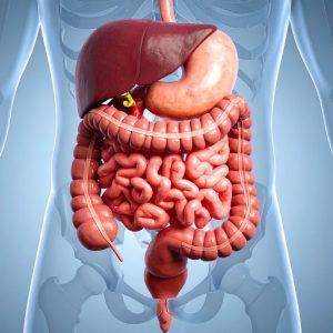 Prebiotikai ar probiotikai: kas geriau žarnyno sveikatai