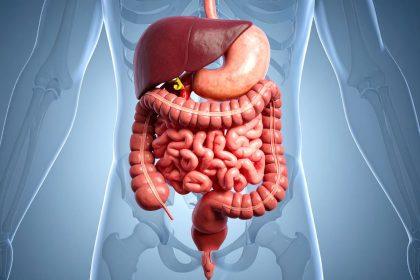 Prebiotikai ar probiotikai: kas geriau žarnyno sveikatai