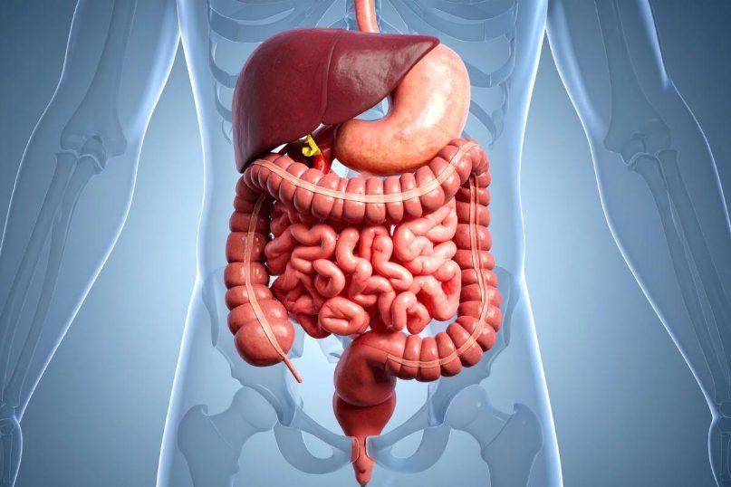 Prebiotikai ar probiotikai: kas geriau žarnyno sveikatai