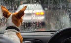 Priekinio stiklo rasojimas kaip išvengti šios žiemos problemos