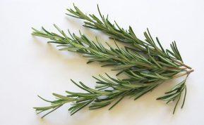 Rozmarinas: kodėl ši žolelė laikoma geriausia priemone nuo uždegimo