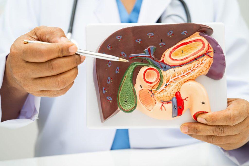 Ryšys tarp kavos ir ilgaamžiškumo: 5 faktai apie kvapnaus gėrimo naudą jūsų sveikatai. Kava saugo kepenis