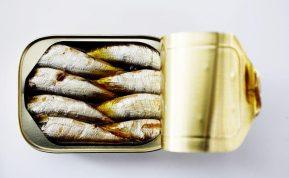 Sardinės ir tunas: kuri žuvis sveikesnė ir kodėl verta rinktis sardines?