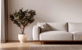 Šiais milteliais apibarstykite savo sofą. Visi pavydės tokio rezultato!