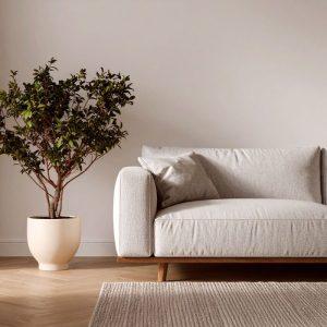 Šiais milteliais apibarstykite savo sofą. Visi pavydės tokio rezultato!