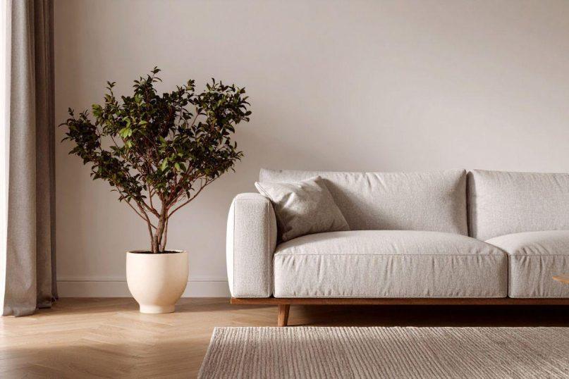 Šiais milteliais apibarstykite savo sofą. Visi pavydės tokio rezultato!