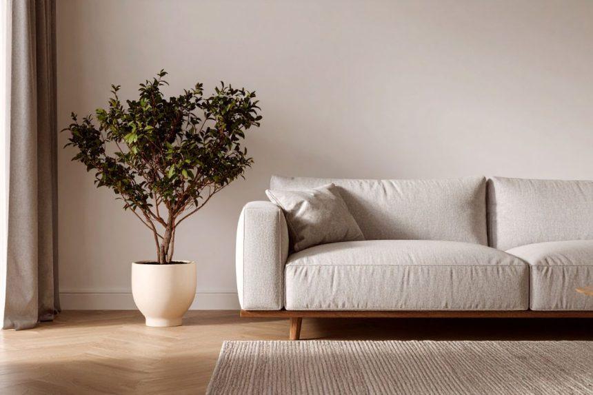 Šiais milteliais apibarstykite savo sofą. Visi pavydės tokio rezultato!