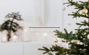 Šių gudrybių dėka eglutė ilgiau nepraras spyglių prieš Kalėdas