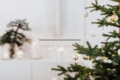 Šių gudrybių dėka eglutė ilgiau nepraras spyglių prieš Kalėdas