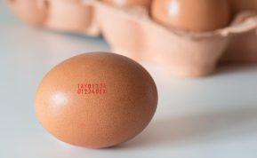 Skaičiai ant kiaušinių atskleidžia tam tikrą informaciją: kaip ją iššifruoti?