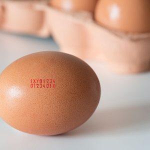 Skaičiai ant kiaušinių atskleidžia tam tikrą informaciją: kaip ją iššifruoti?