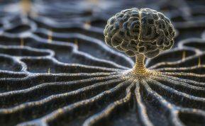 Šokiruojanti mokslininkų teorija: mirtis tėra iliuzija, o mus visus jungia bendras sąmonės laukas